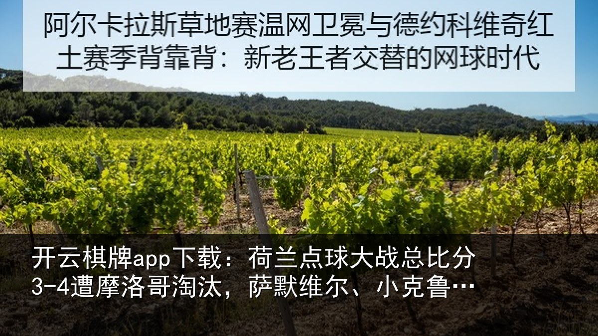 开云棋牌app下载:荷兰相关情况摩洛哥淘汰,萨默维尔、小克鲁伊维特丢点