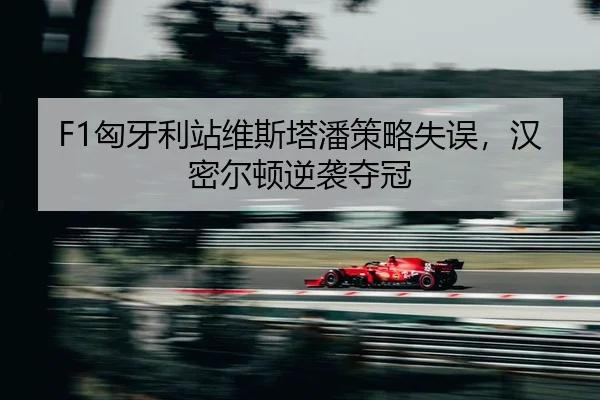 xiong-ya-li-zhan-wei-si-ta-pan-ce-lve-shi-wu-han-mi-er-dun-ni-xi-duo-guan-2-797.jpg