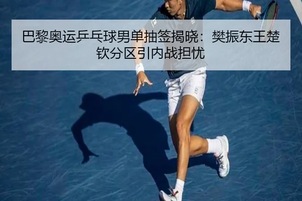 ba-li-ao-yun-ping-pang-qiu-nan-dan-chou-qian-jie-xiao-fan-zhen-dong-wang-chu-qin-fen-qu-yin-nei-zhan-dan-you-2-460.jpg