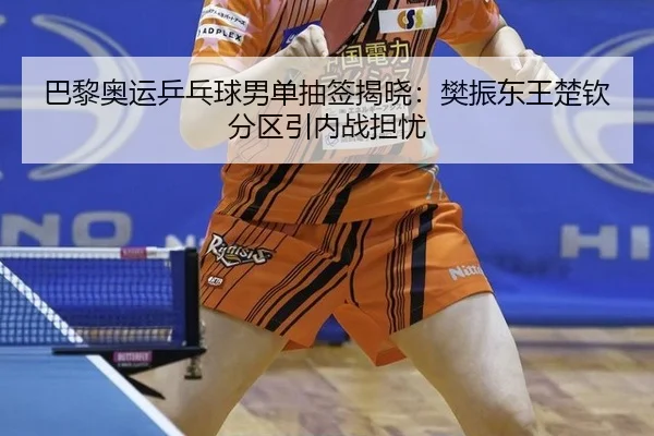 ba-li-ao-yun-ping-pang-qiu-nan-dan-chou-qian-jie-xiao-fan-zhen-dong-wang-chu-qin-fen-qu-yin-nei-zhan-dan-you-3-556.jpg