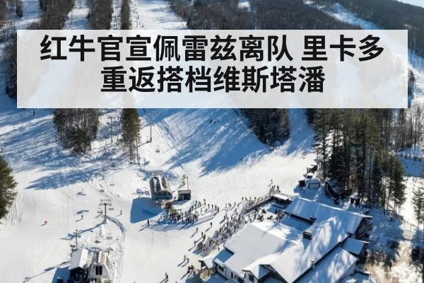 红牛官宣佩雷兹离队 里卡多重返搭档维斯塔潘
